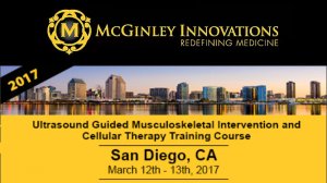 McGinley Innovations 2017